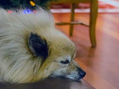 sleeping
